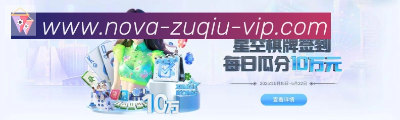 未来规划